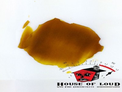 HOUSE OF LOUD Blue Cookies Shatter